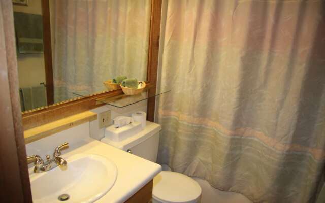 Northstar Ski Trail Retreat - 1 Br Condo