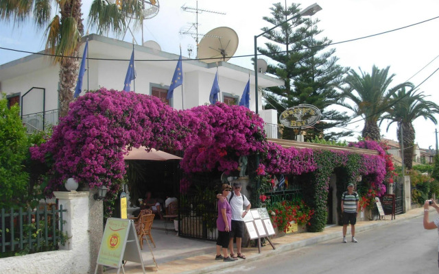 Harry's Bar & Apartments