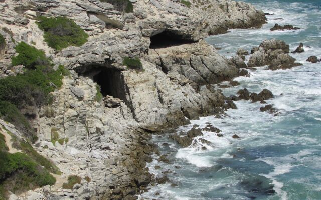 Whale Watch Accommodation