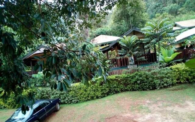 Bwindi View Lodge & Camp Site