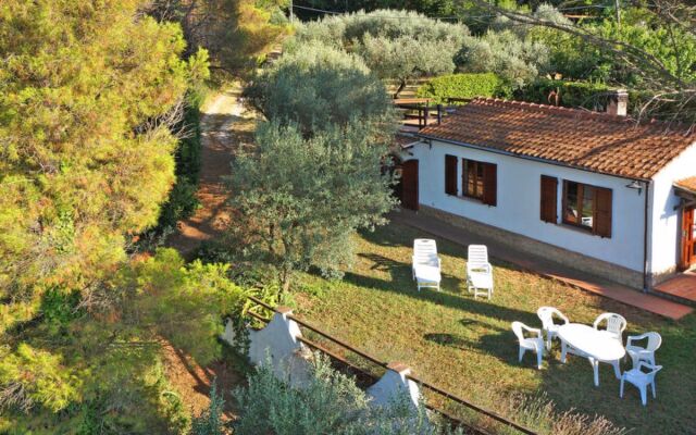 House Ulivo Montescudaio