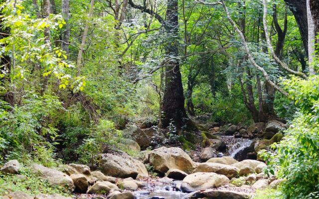 Secret Valley Jungle Resort