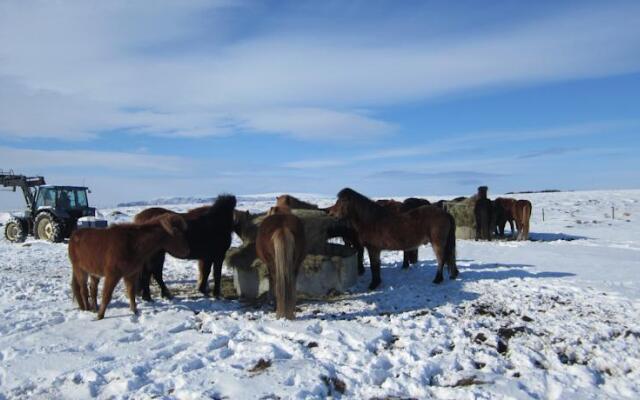 Hofdatun Guesthouse