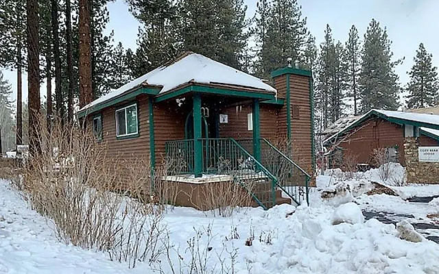 Cozy Bear Lodge A