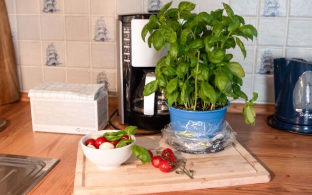 Itzendorfer Rott 24499