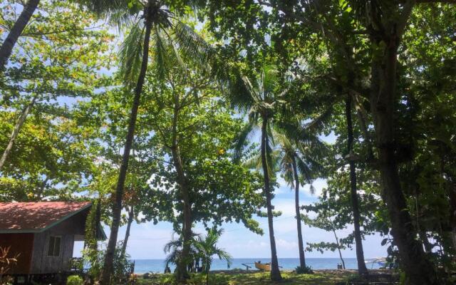beach house resort and dive center