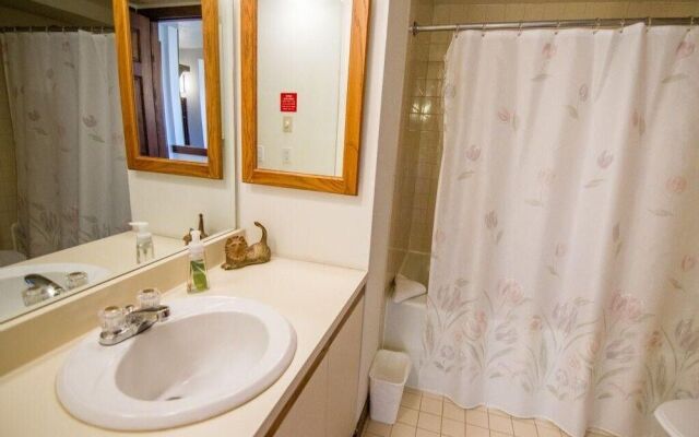 Sunrise Cambridge 101