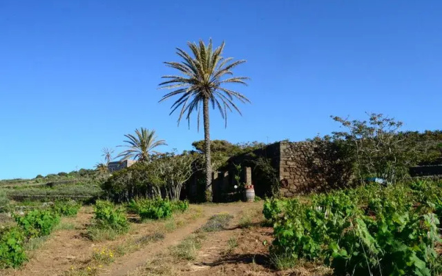 Dammuso Campobello