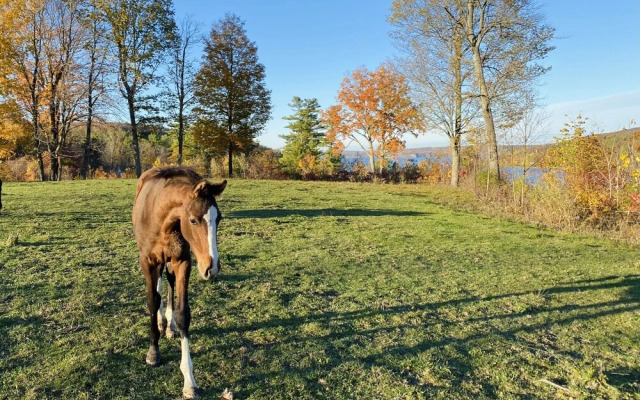 The Inn on Lake Champlain
