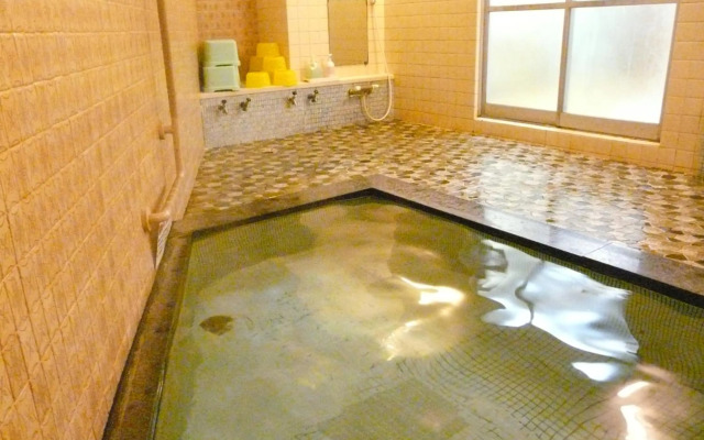 Hotel Shinwaka Lodge