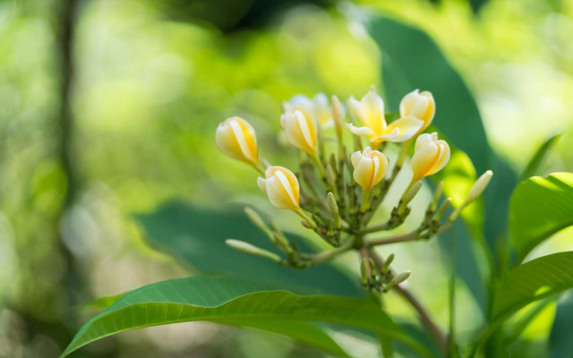 Sten Lodge eco Homestay