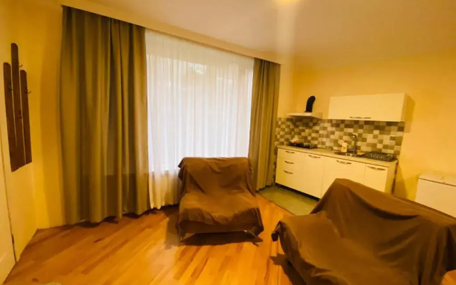 ბორჯომი საოჯახო სასტუმრო "გიომანი" Borjomi Guest House "GioMaNi" დასვენება ბორჯომში "GioMaNi"