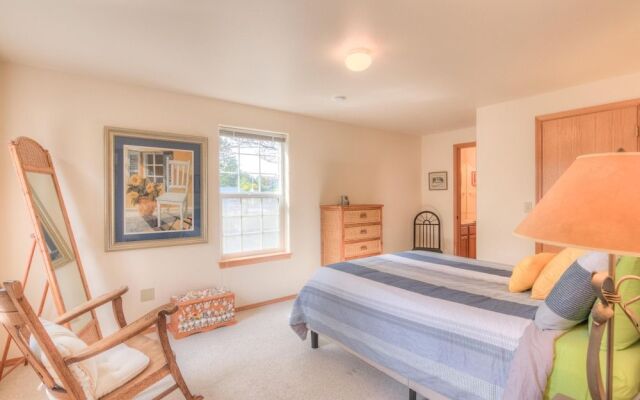 Avas Sunny Delight (MCA 682)