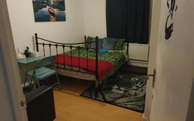 Comfortable Host, in zone 2-3