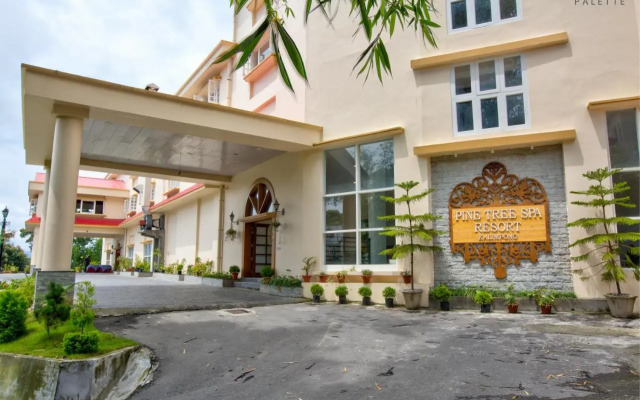Pine Tree Spa Resort