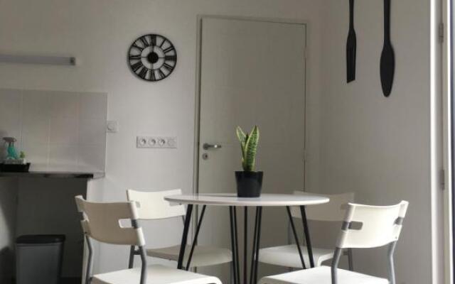 Appartement calme,lumineux ,coeur culturel deTOURS