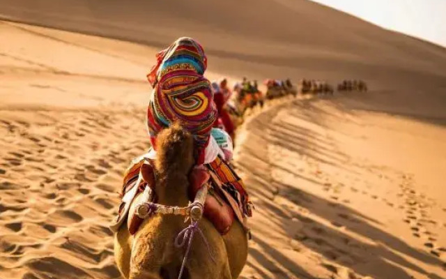 Zhongwei Daxing Night Desert Camp