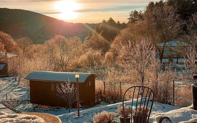 Torrhebia Dag Evi