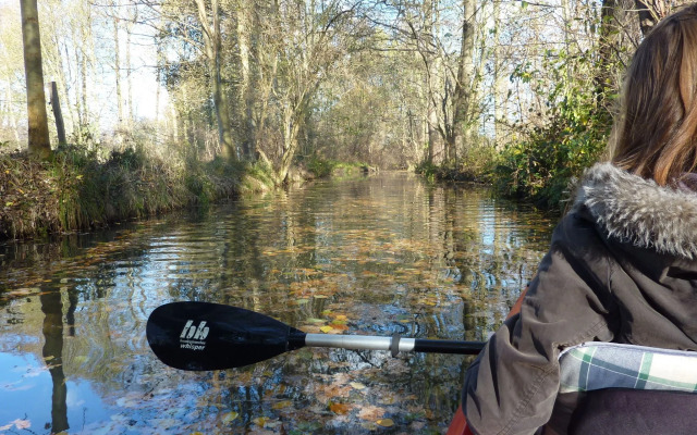 Spreewald - Pension Spreeaue