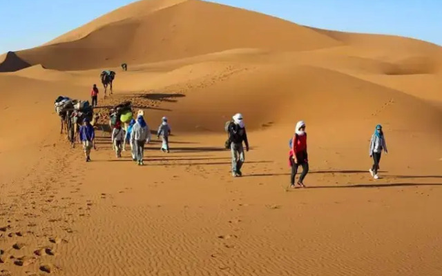 Locals Under Stars Trips