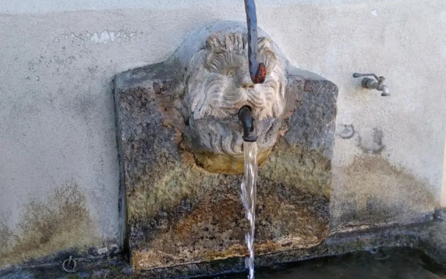 Nido di Rongio
