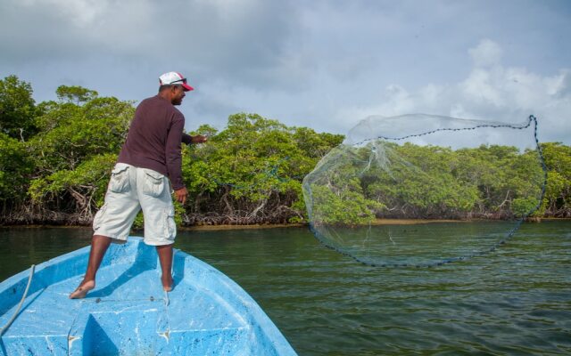 Yok Ha Belize Resort