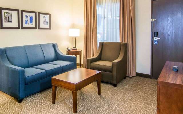 Comfort Suites Fredericksburg South