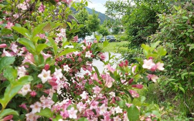 Happy Camp in Camping Bella Austria