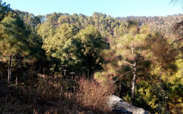 Nature View Penthouse - Bhowali