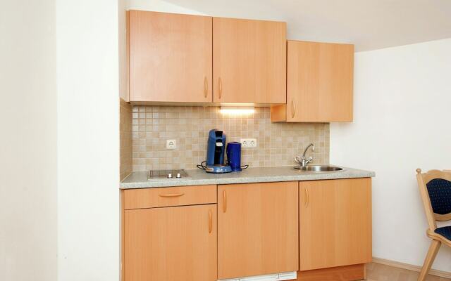 Majestic Apartment near Ski Area in Saalbach-Hinterglemm