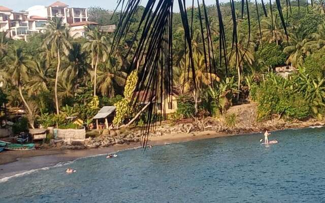 Surf Paradise Hotel