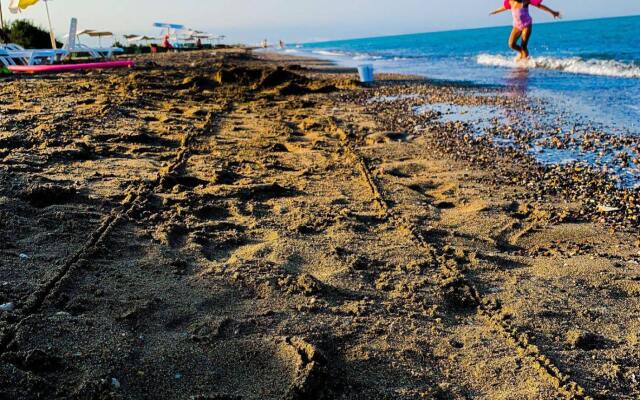 Altinkum Tatil Koyu