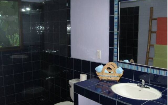 VIP Hotel Playa Negra