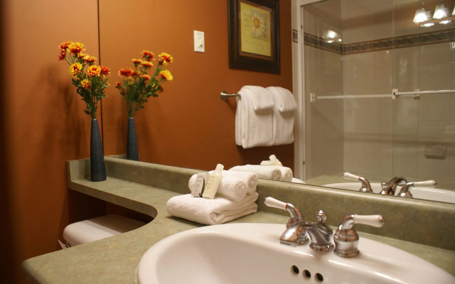 Whistler Superior Properties