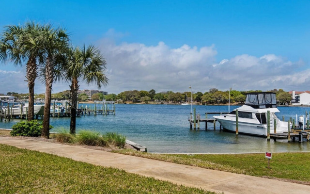 Pelican at Sound Side