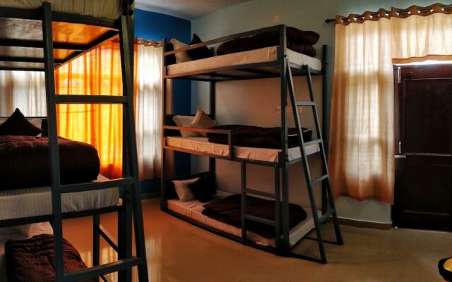 The Bunker Hostel - Dharamkot
