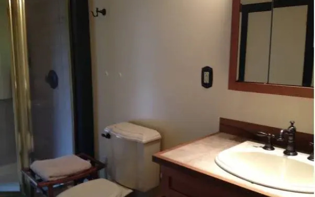 Volcano Big Tree Sanctuary