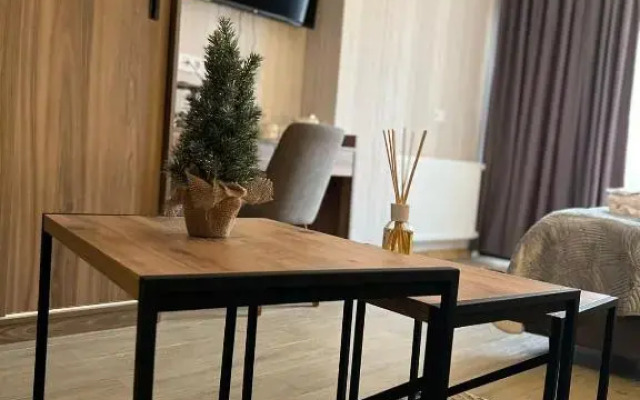 Didveli Gallery Studio Apartment B-408