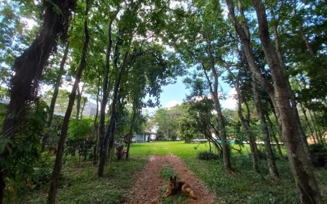 Parana Riverside Guest House - Posadas