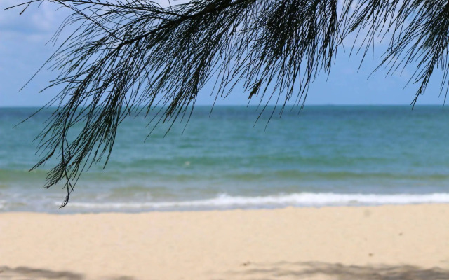 White Lotus Resort
