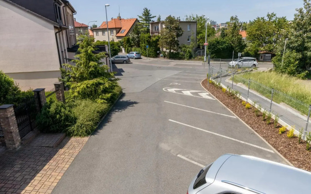 Kanarek
