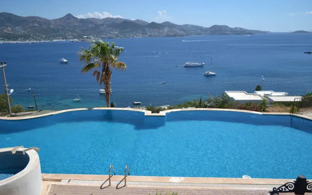 Elegant Villas 1 5