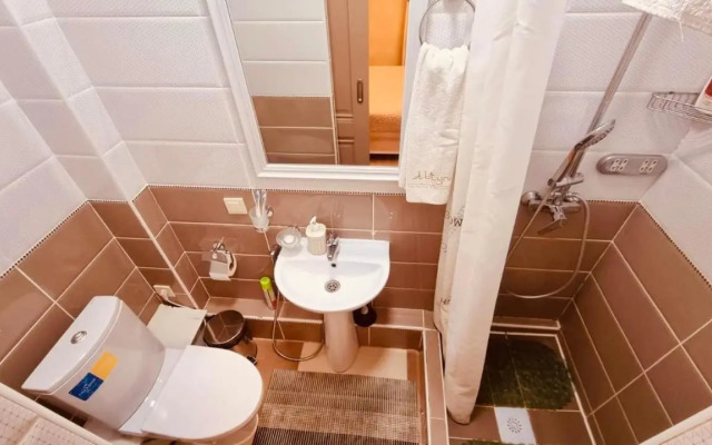 Altyn Hotel