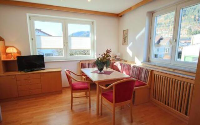 Appartement Wartinger by Schladming-Appartements