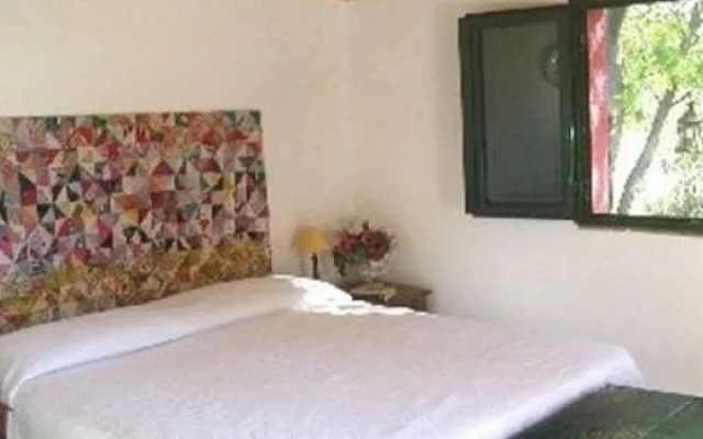 Bed and Breakfast Sotto La palma