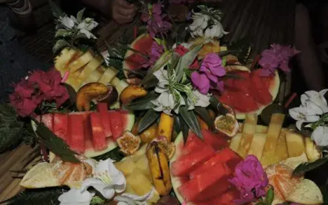 Sumatra Rainforest Eco Retreat