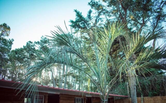 RocaMar Hostel Boutique