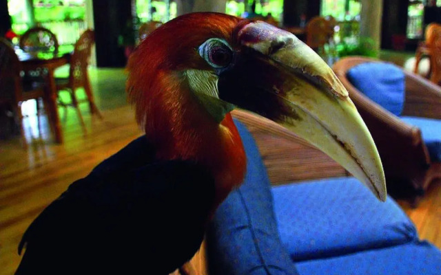 Tufi Resort