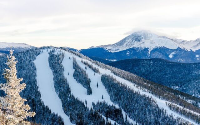 Wild Irishman #1029 by Summit County Mountain Retreats