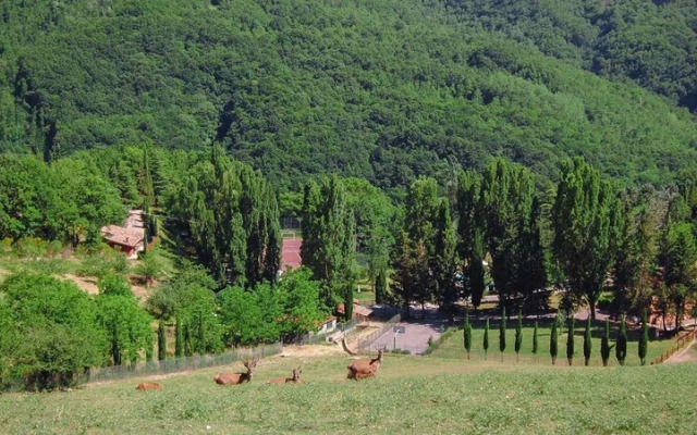 Tenuta Del Varco
